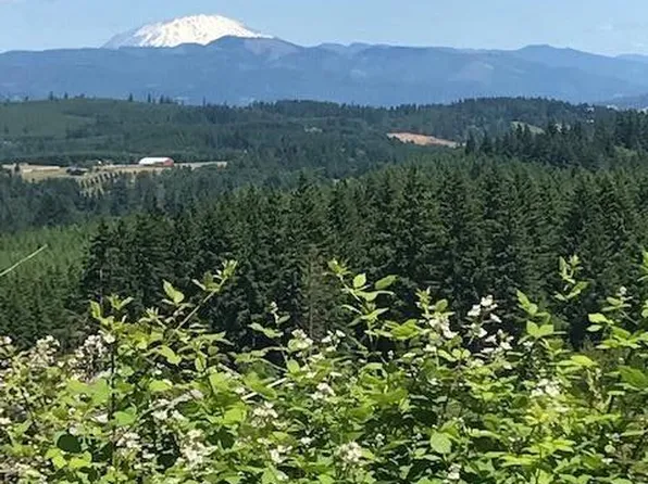 Cater Rd, Warren, OR 97053