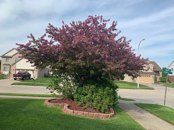 5th image of 24424 Curtis Dr