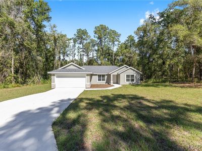 946 E Abend Dr, Citrus Springs, FL, 34434