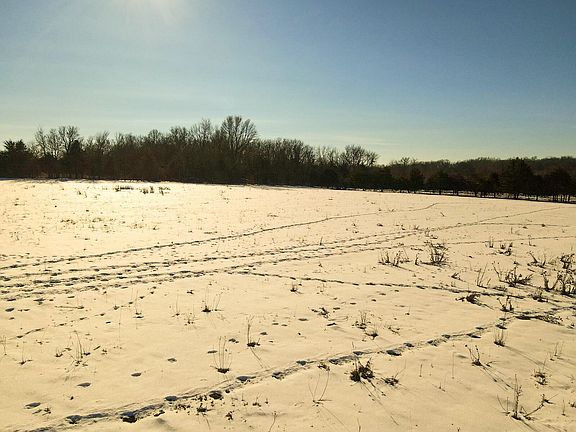 5th image of 000 County Road 1040