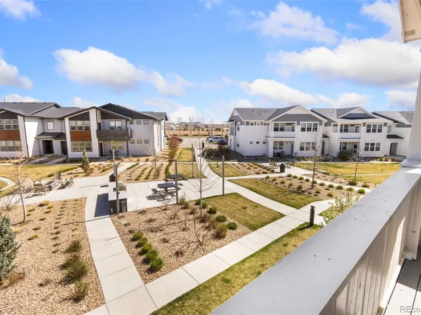 1805 Bounty Drive #3, Windsor, CO 80550