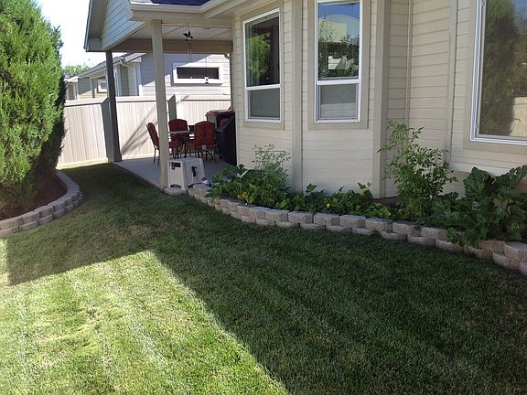 Backyard & garden view