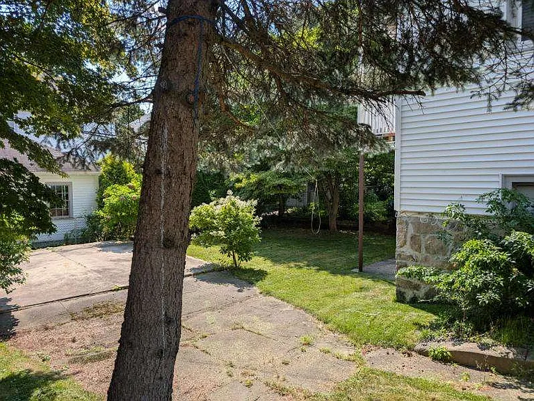 44 Farquhar St — Photo 23