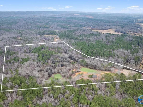 8355 Duck Springs Rd, Attalla, AL 35954