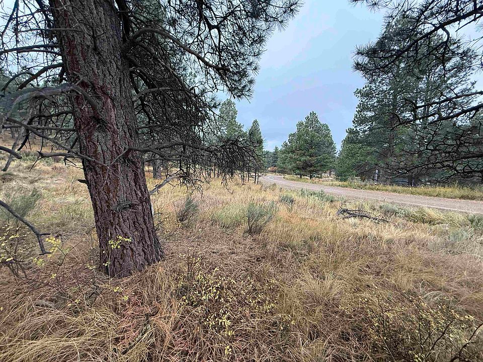 2nd image of 83 Alta Rd