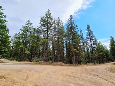 Sparrow Dr #6, Bonanza, OR, 97623