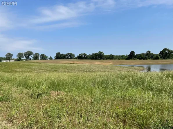 0 Tract County Rd #5, Bloomfield, MO 63825