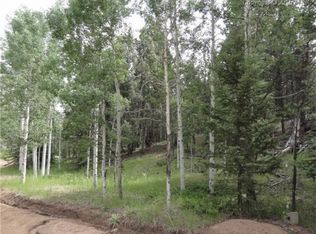 84 Kokwapy Ct, Florissant, CO 80816