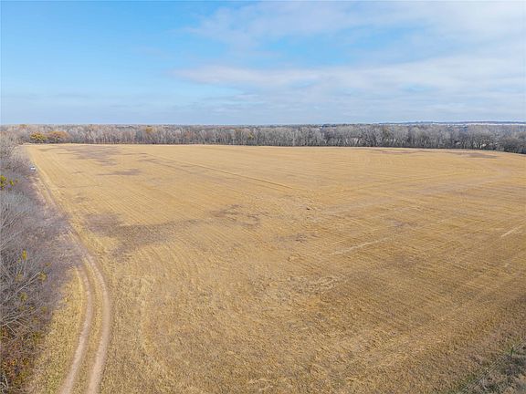 5th image of Leon River County Rd #446