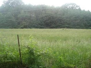 Tbd Sink Valley Rd, Butler, TN 37640