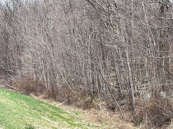 2nd image of 0 Jansen Rd