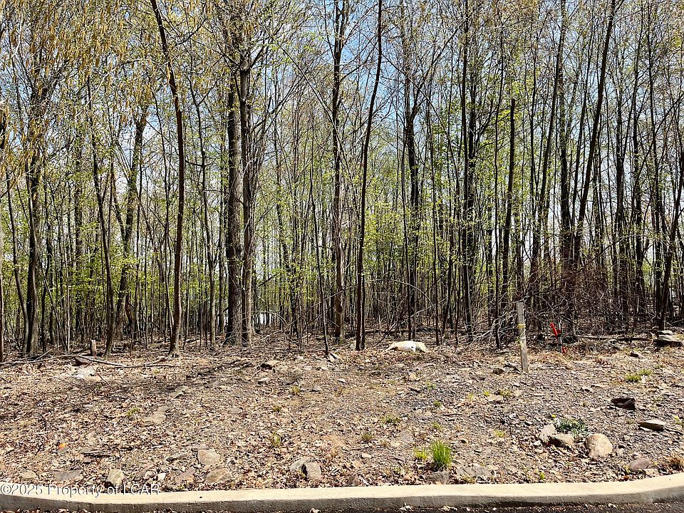 2nd image of LOT 149 Manor Dr