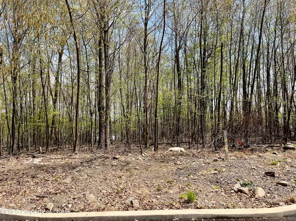 LOT 149 Manor Dr, Mountain Top, PA 18707