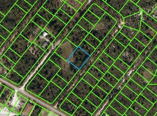 122 Drummond Ave, Lake Placid, FL 33852