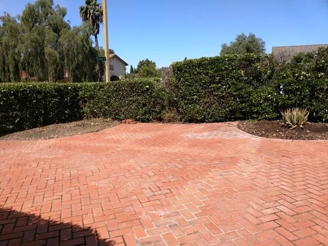 This is the front yard surrounded by a hedge.