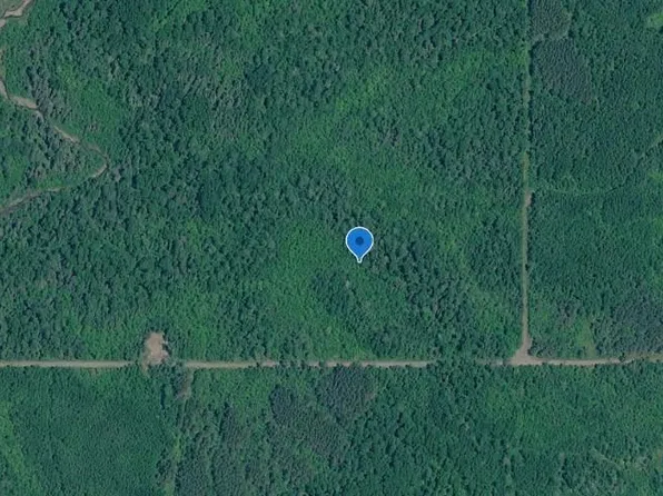 xxx Sleepy Hollow Rd, Grand Portage, MN 55605