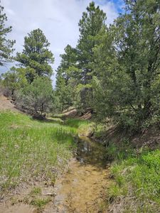 Picketwire Rd #36, Trinidad, CO, 81082