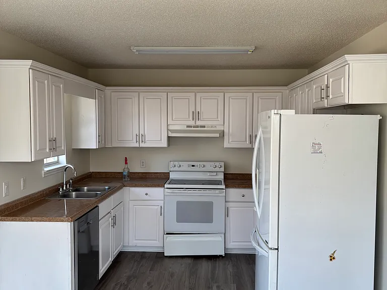 6703 White Tail Dr — Photo 4
