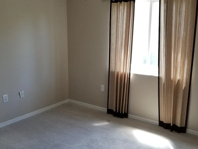 20422 Needletree Dr — Photo 9