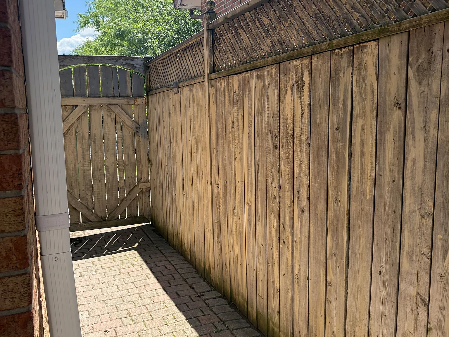 2 bed, $1,500 — Photo 2