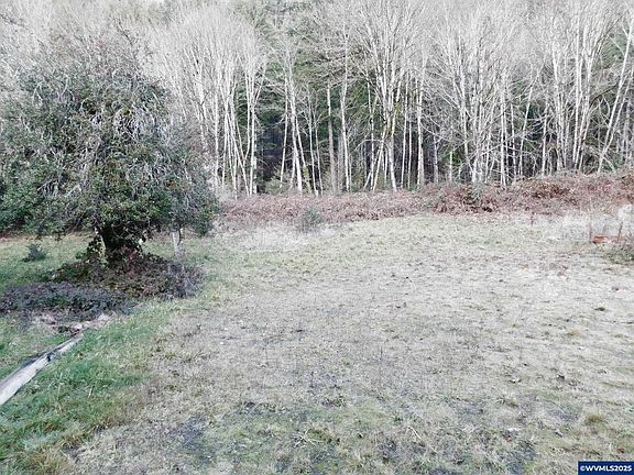 2nd image of 48069 McKenzie Hwy