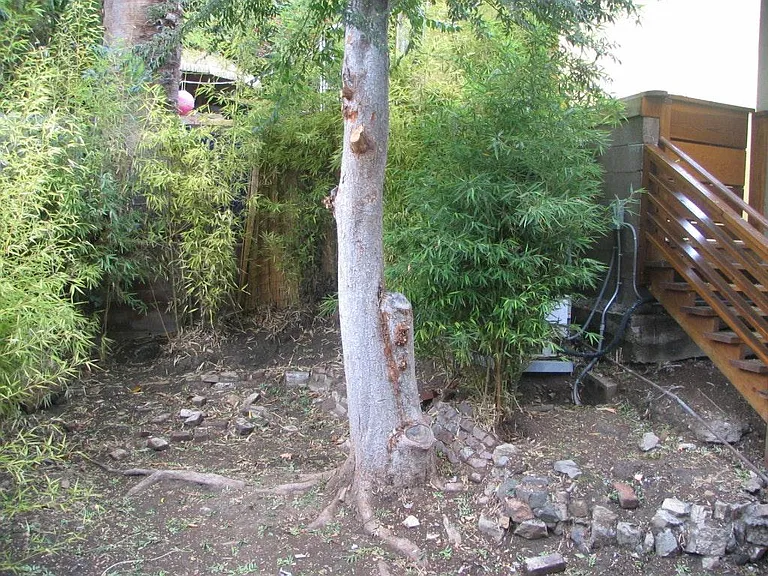 3310 Effie St — Photo 11
