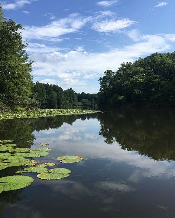 parcel A, view of lake