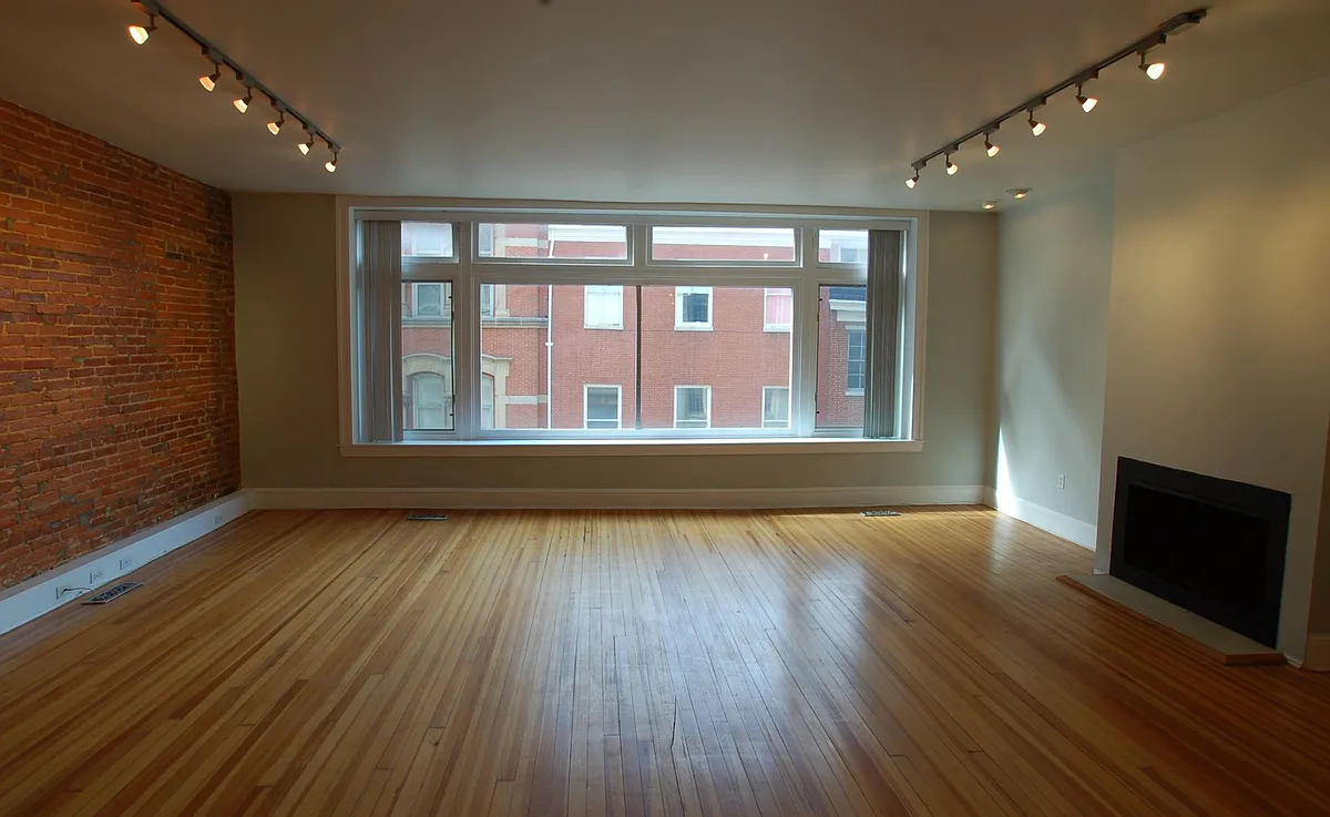 Large, bright Living Room - 313 N Charles St #3