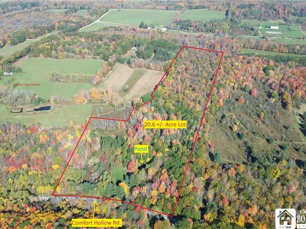 5794 Comfort Hollow Rd Lot 4, Scio, NY 14880