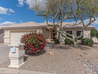 14672 W Mulberry Dr, Goodyear, AZ, 85395