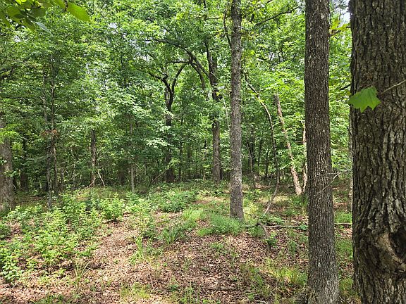 5th image of 001 Muleshoe Trail