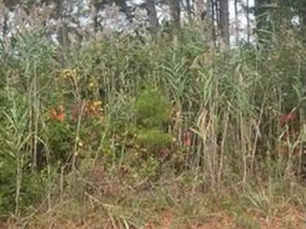 201 Hibiscus Dr, Chincoteague Island, VA 23336