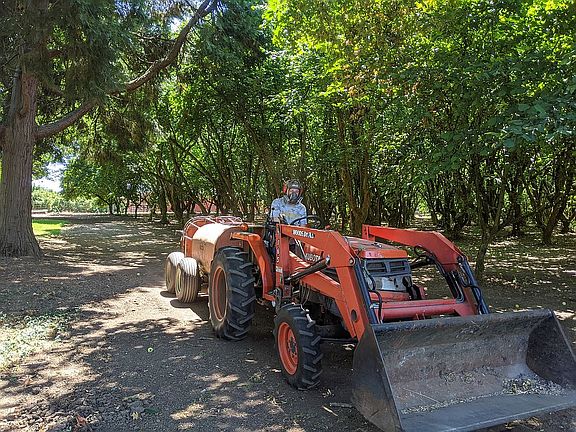 Orchard spraying