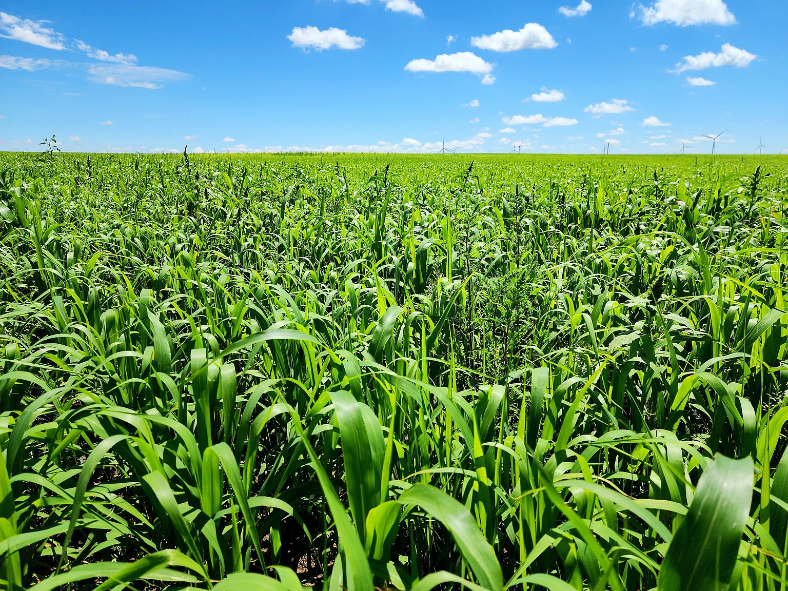 Road 5 W LOT WP001, Bushnell, NE 69128 Zillow