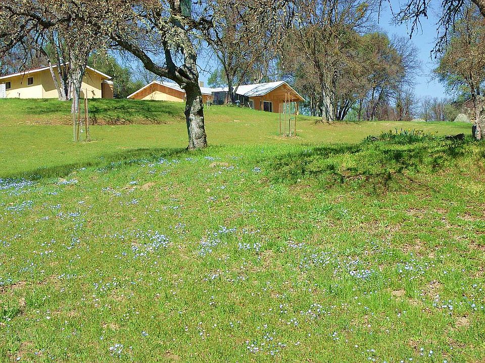A view up the meadow 