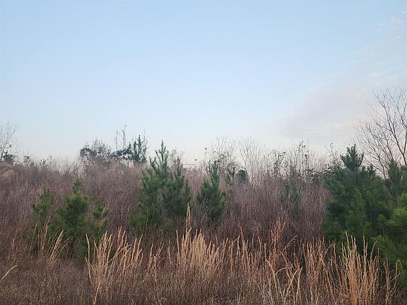 2nd image of 340 Road 5805