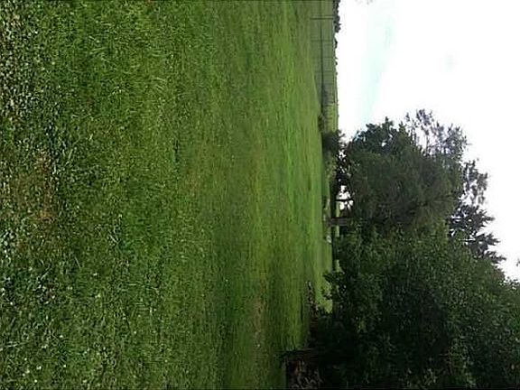 Exterior Front. Spacious backyard