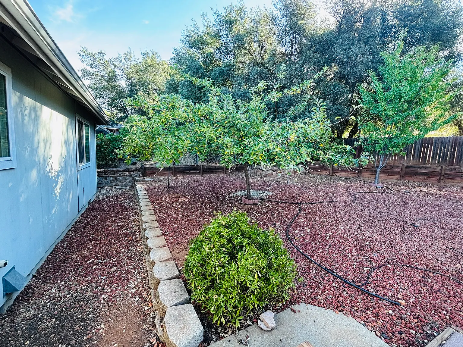 3 bed, 1508 sqft, $2,450 — Photo 3