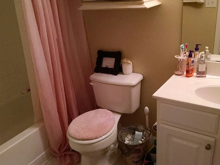 833 Old Greenville Hwy #523 — Photo 10