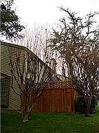 2nd image of 2815 Welborn St Building 1