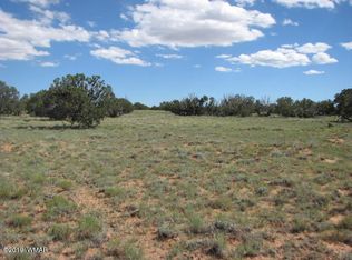 LOT 573 Chevelon Canyon Rnch 573-LOT 4, Overgaard, AZ 85933