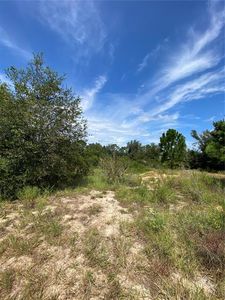 Circle Way Lot 16, Leesburg, FL, 34788