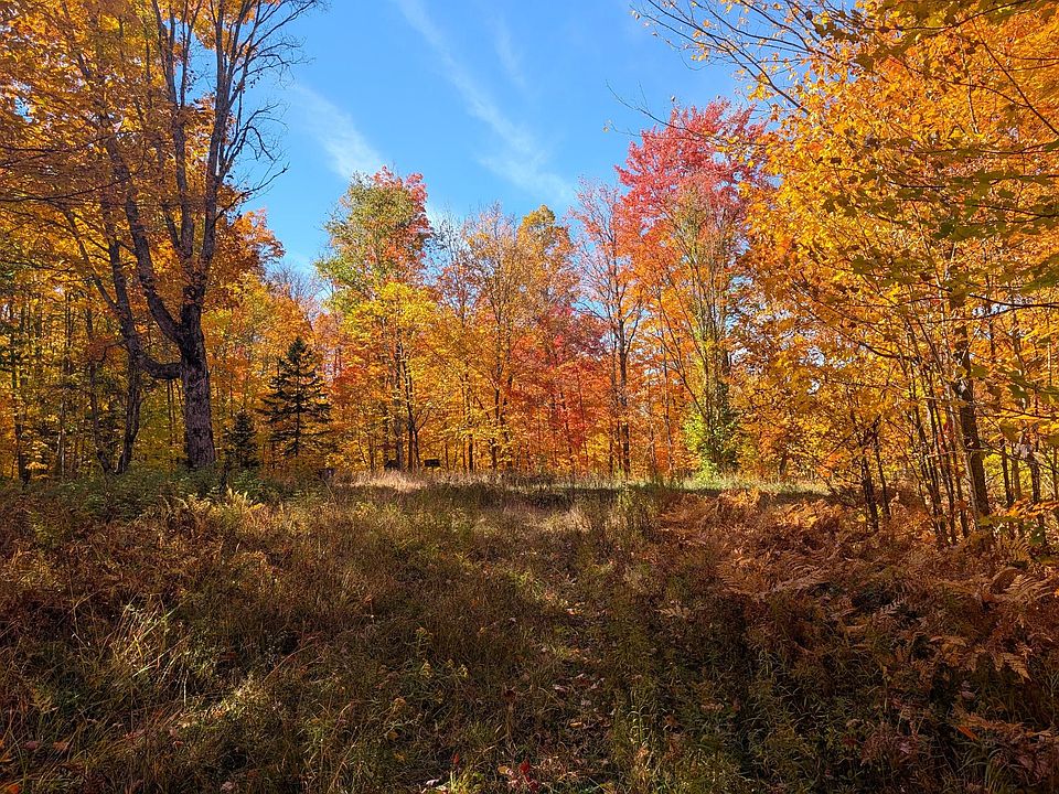 1st image of 9203 N Shirley Lake Rd