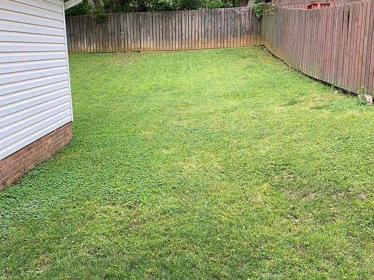 105 Chris Ln — Photo 9
