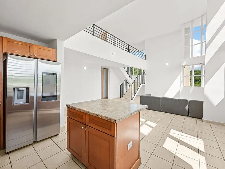 Cond Montecentro Apt L401 Calle Daguao 416 — Photo 13