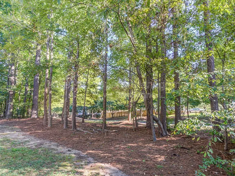 103 Unaka Ct — Photo 58