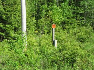 35497 S Macdonald Rd, De Tour Village, MI 49725