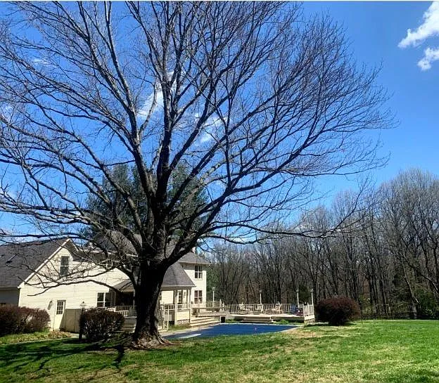Brink Ct — Photo 12
