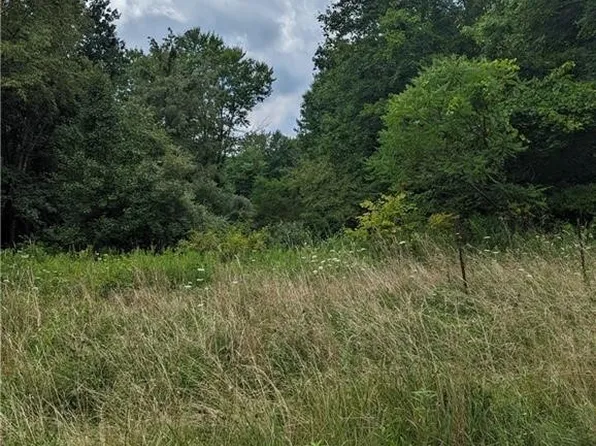 18405 Forbes Rd, Wellsville, OH 43968
