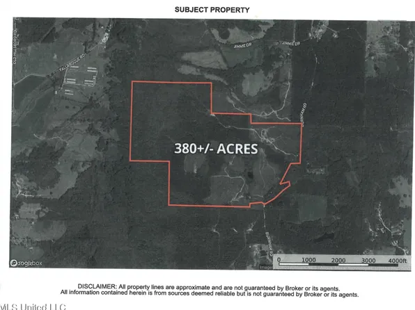 454 Burnham Rd, Forest, MS 39074